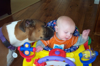 Peanut April 03  BOXER KISSES