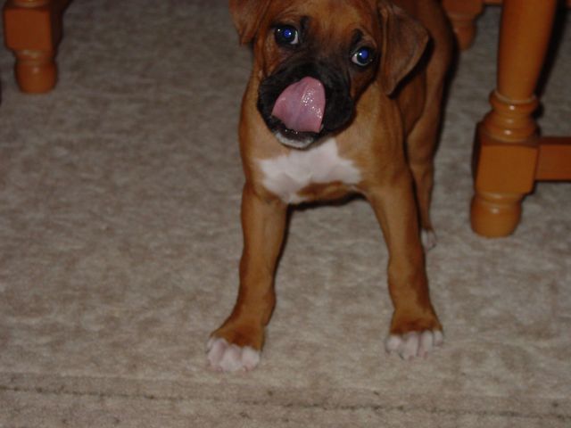 Peanut  Butter Clean Up