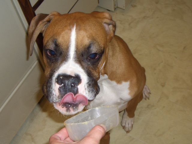Peanut Butter Love