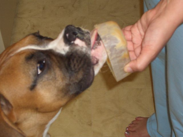 Peanut Butter Nose 2