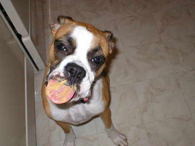 peanutbutter