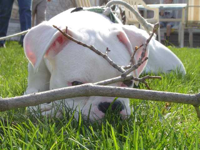 Peek-a-Boo