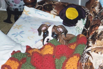 Peek-a-Boo!