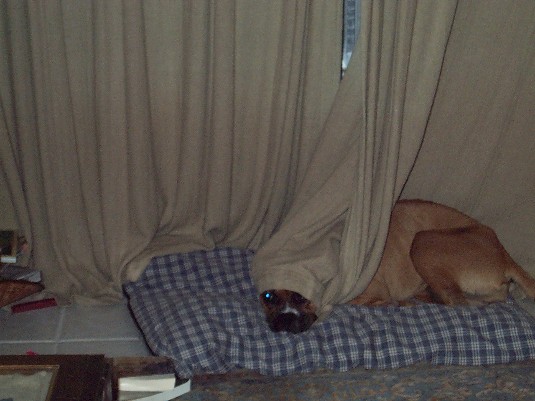 Peek - a - Boo