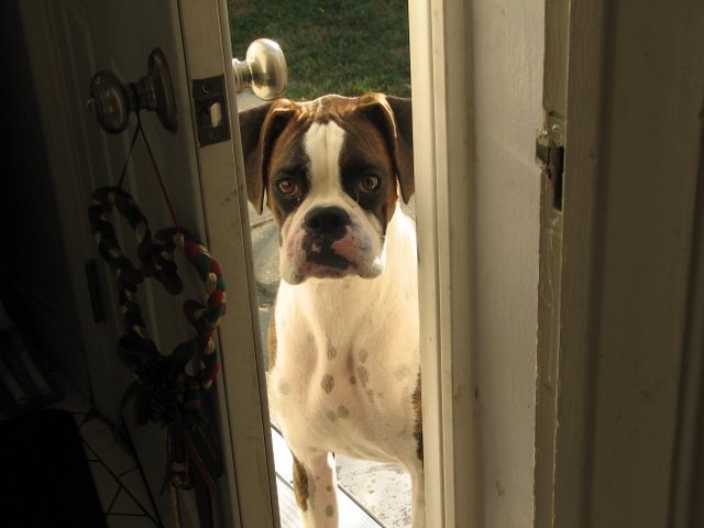 Peek-a-boo!