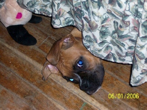 Peek a boo