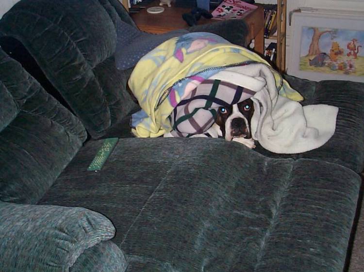 Peek