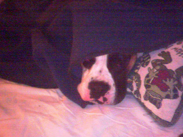 peekaboo