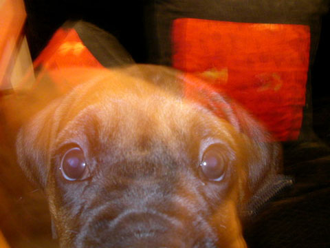 Peepers!