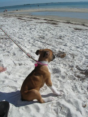 Penny at the Beach