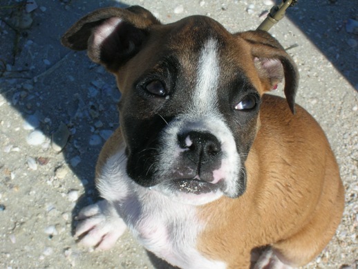Penny 's closeup