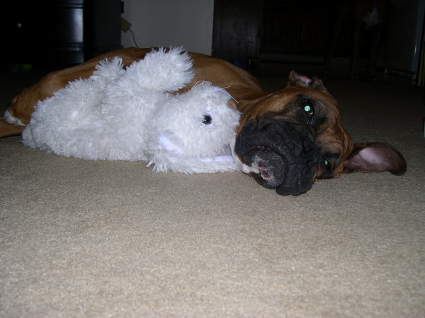 Penny's New Friend