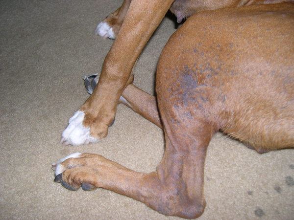 Penny's Skin Issue 2