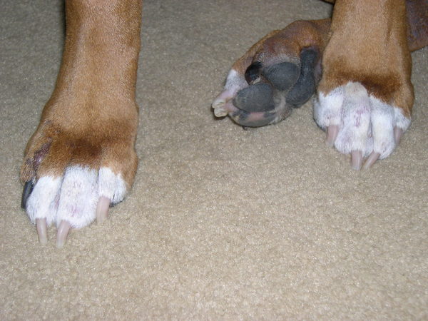 Penny's Skin Issue 3