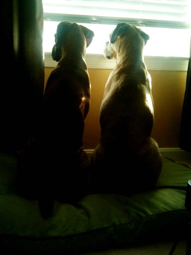 People watching