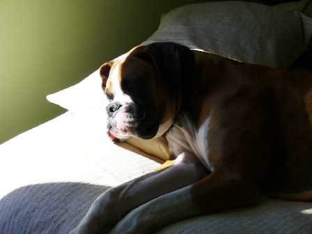 Perfect spot to catch some rays!