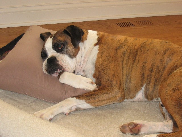 Pete Leads Tough Life