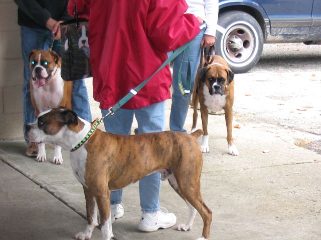 Pete struts stuff at Bash