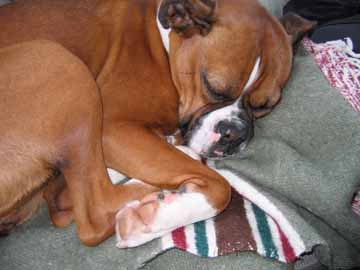 Petra Sleeping