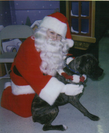 Petsmart Santa & Rocky