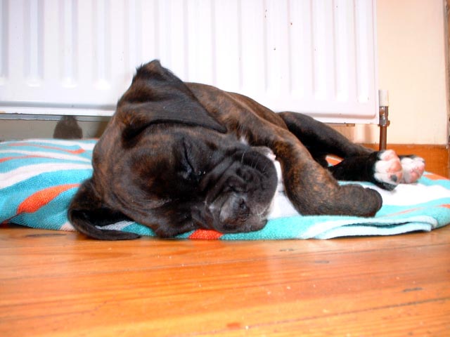 "Pfffff... I give up"