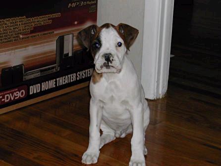 Phiki 2 and a half months