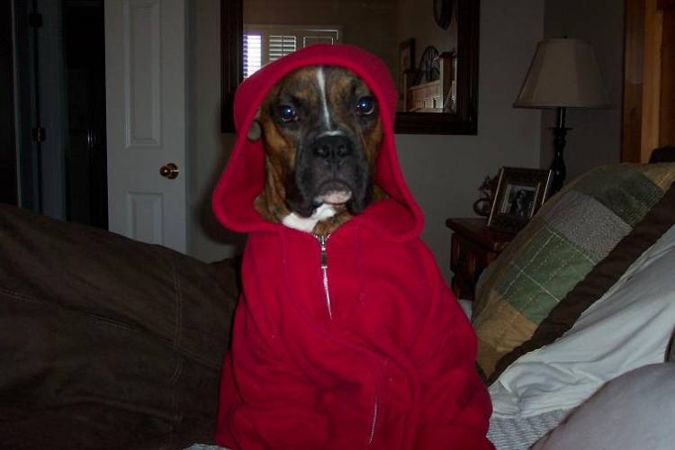 Phone Home...