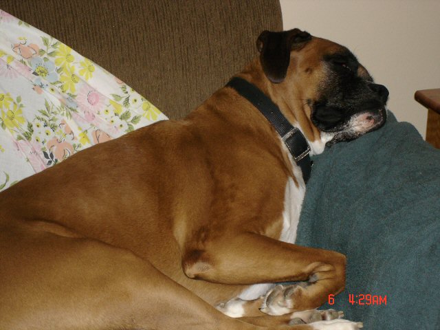 photo2