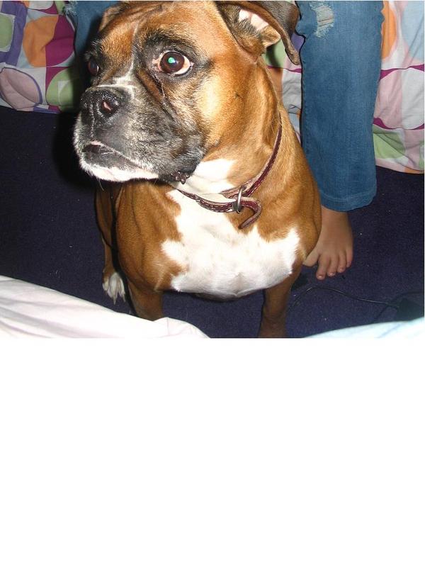 Phyllis - RIP 1999-2008