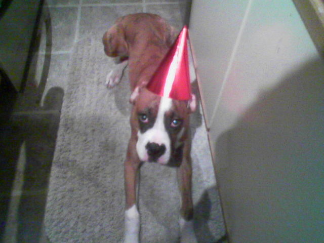 Picture010