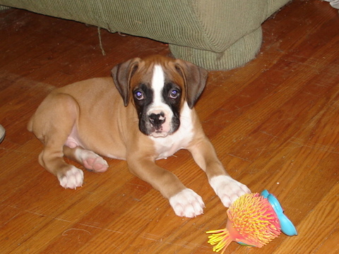 Picture0221