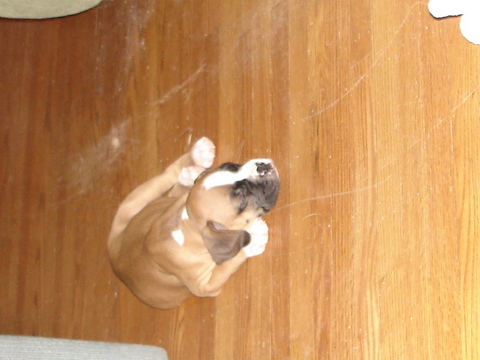 Picture0241