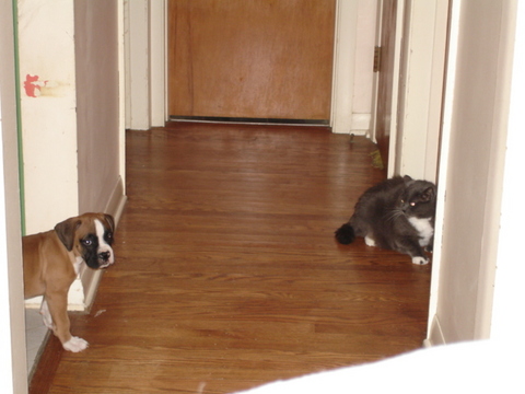 Picture026
