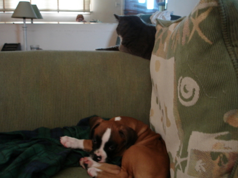 Picture027
