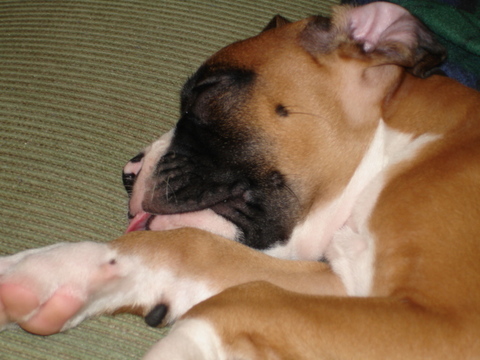 Picture028