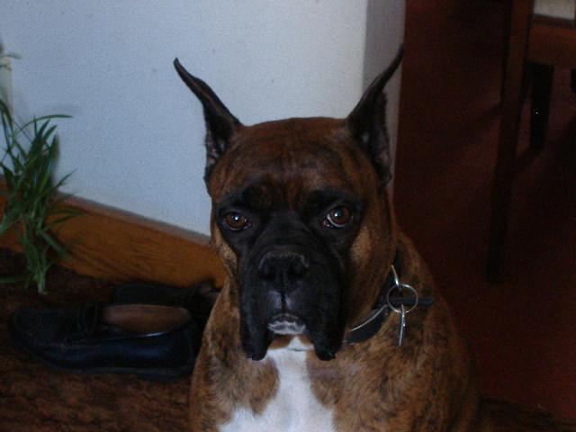 Picture_009_Small_