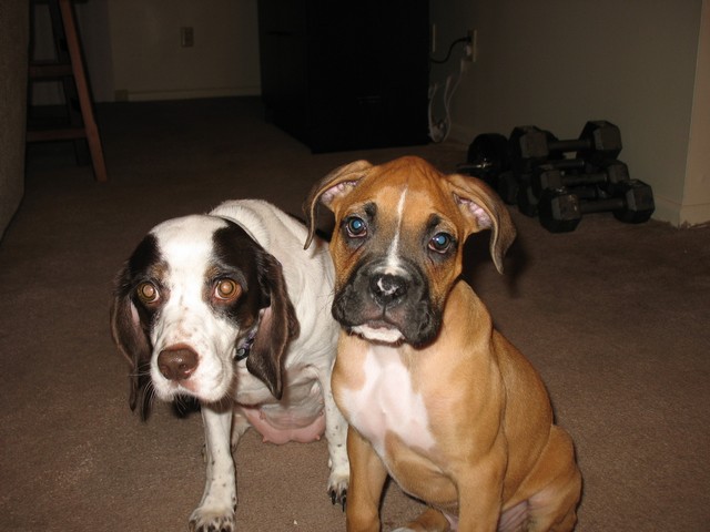 Picture_0181