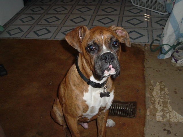 Picture_021