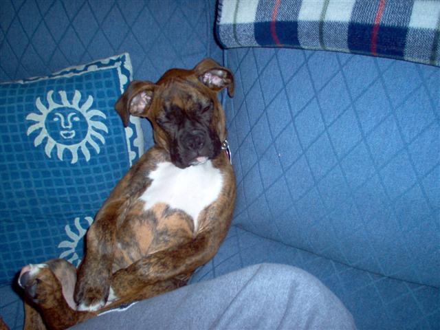 Picture_062_Small_
