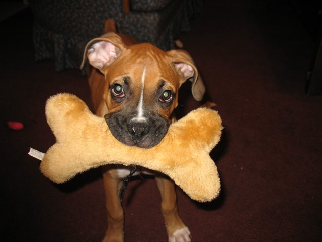 Picture_0742