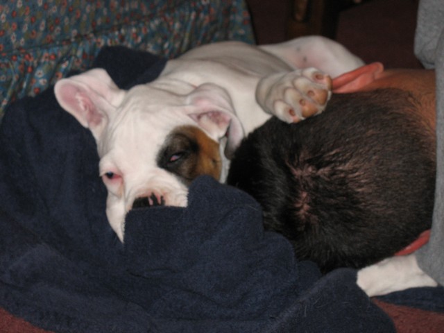 Picture_075