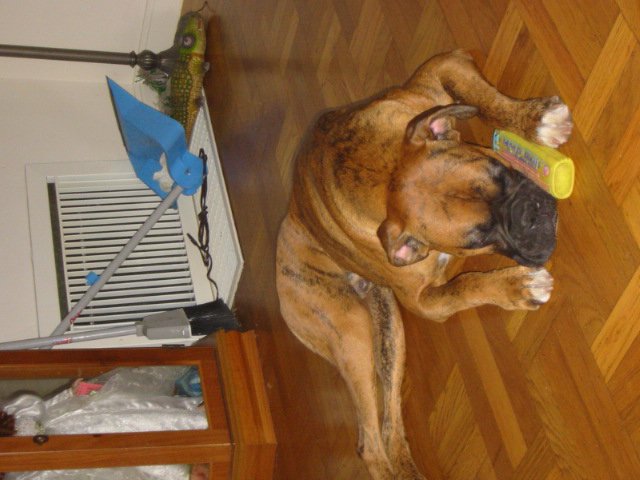Picture_094
