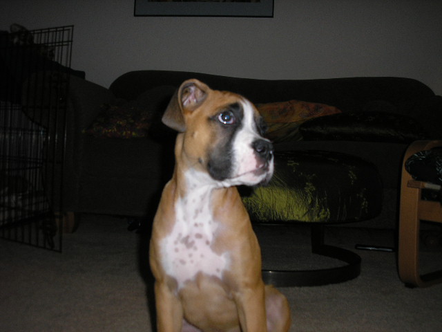 Picture_098