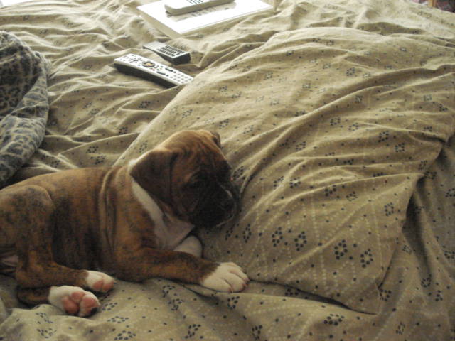 Picture_111