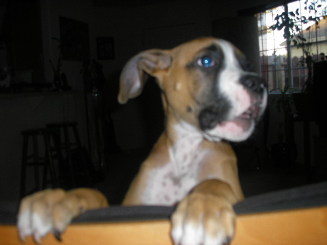 Picture_123
