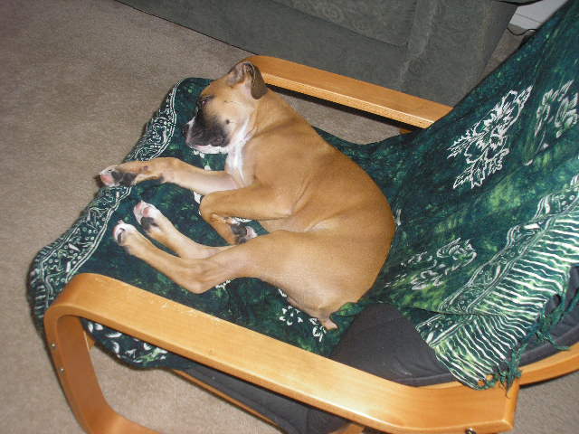 Picture_142