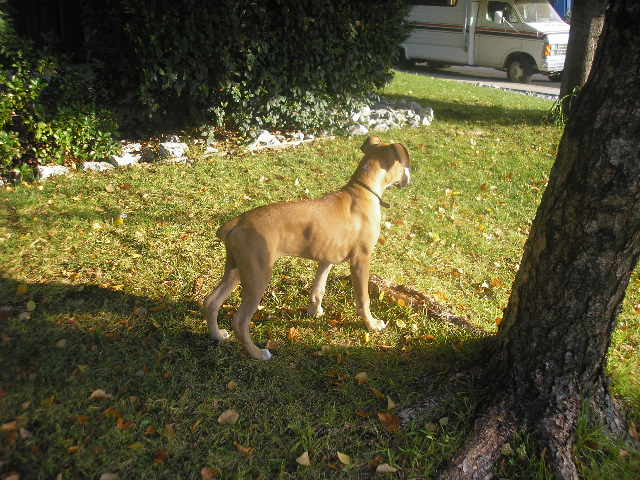 Picture_173