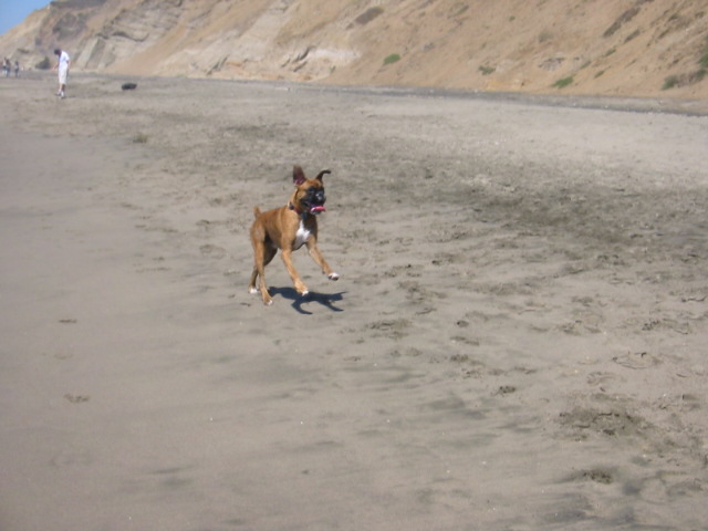Picture_179