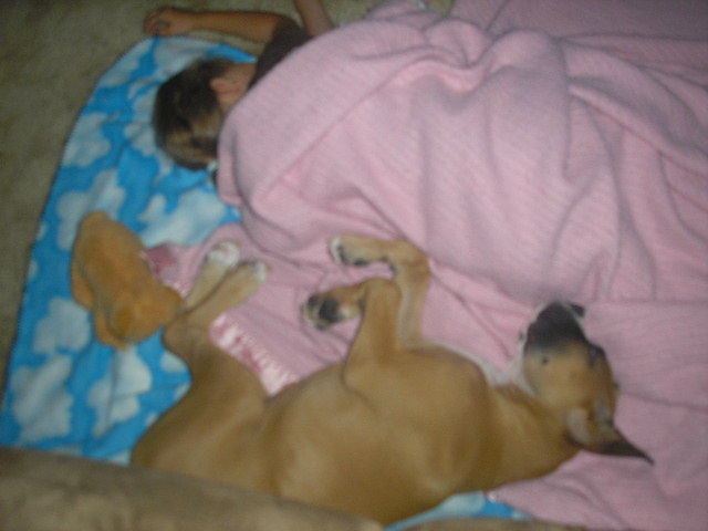 Picture_1851
