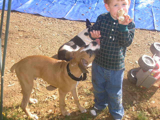 Picture_190